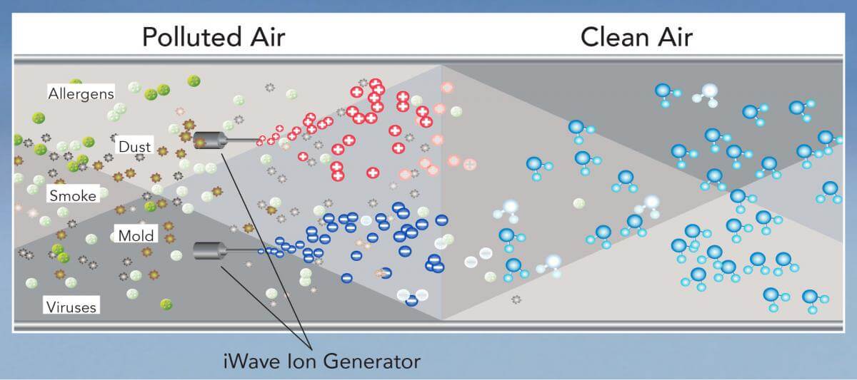 Compare and contrast of clean air and polluted air