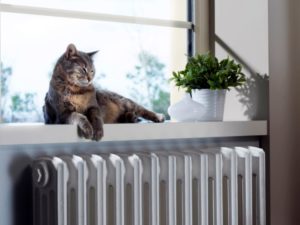 HVAC maintenance with pets